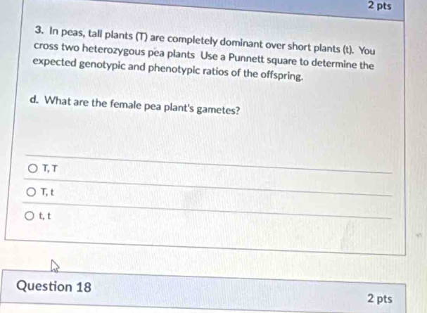 In peas, tall plants (T) are completely dominant over short plants (t). You
cross two heterozygous pea plants Use a Punnett square to determine the
expected genotypic and phenotypic ratios of the offspring.
d. What are the female pea plant's gametes?
T, T
T, t
t, t
Question 18 2 pts