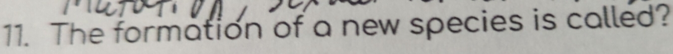The formation of a new species is called?