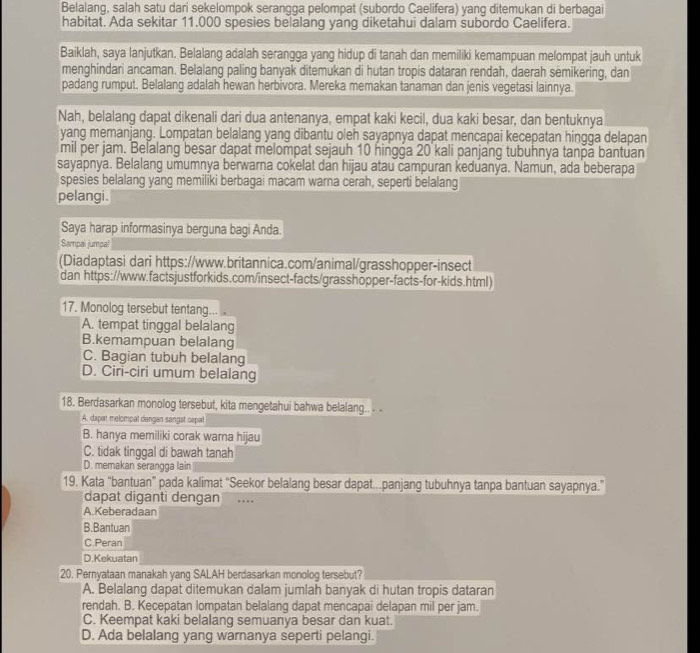 Belalang, salah satu dari sekelompok serangga pelompat (subordo Caelifera) yang ditemukan di berbagai
habitat. Ada sekitar 11.000 spesies belalang yang diketahui dalam subordo Caelifera.
Baiklah, saya lanjutkan. Belalang adalah serangga yang hidup di tanah dan memiliki kemampuan melompat jauh untuk
menghindari ancaman. Belalang paling banyak ditemukan di hutan tropis dataran rendah, daerah semikering, dan
padang rumput, Belalang adalah hewan herbivora. Mereka memakan tanaman dan jenis vegetasi lainnya.
Nah, belalang dapat dikenali dari dua antenanya, empat kaki kecil, dua kaki besar, dan bentuknya
yang memanjang. Lompatan belalang yang dibantu oleh sayapnya dapat mencapai kecepatan hingga delapan
mil per jam. Beľalang besar dapat melompat sejauh 10 hingga 20 kali panjang tubuhnya tanpä bantuan
sayapnya. Belalang umumnya berwarna cokelat dan hijau atau campuran keduanya. Namun, ada beberapa
spesies belalang yang memiliki berbagai macam warna cerah, seperti belalang
pelangi.
Saya harap informasinya berguna bagi Anda.
Sampal jumpal
(Diadaptasi dari https://www.britannica.com/animal/grasshopper-insect
dan https://www.factsjustforkids.com/insect-facts/grasshopper-facts-for-kids.html)
17. Monolog tersebut tentang...
A. tempat tinggal belalang
B.kemampuan belalang
C. Bagian tubuh belalang
D. Ciri-ciri umum belalang
18. Berdasarkan monolog tersebut, kita mengetahui bahwa belalang.. - -
A. dapar melompal dangan sangst ospat
B. hanya memiliki corak wama hijau
C. tidak tinggal di bawah tanah
D. memakan serangga lain
19. Kata “bantuan” pada kalimat "Seekor belalang besar dapat...panjang tubuhnya tanpa bantuan sayapnya.”
dapat diganti dengan …
A.Keberadaan
B.Bantuan
C.Peran
D.Kekuatan
20. Pernyataan manakah yang SALAH berdasarkan monolog tersebut?
A. Belalang dapat ditemukan dalam jumlah banyak di hutan tropis dataran
rendah. B. Kecepatan lompatan belalang dapat mencapai delapan mil per jam.
C. Keempat kaki belalang semuanya besar dan kuat.
D. Ada belalang yang warnanya seperti pelangi.