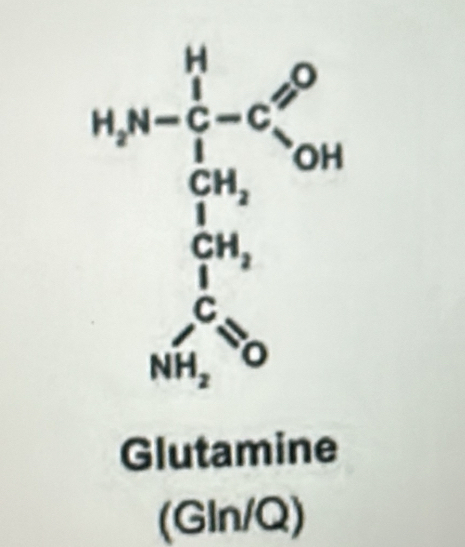 Glutamine
(GIn/Q)