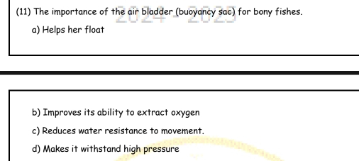 (11) The importance of the air bladder (buoyancy sac) for bony fishes.
a) Helps her float
b) Improves its ability to extract oxygen
c) Reduces water resistance to movement.
d) Makes it withstand high pressure