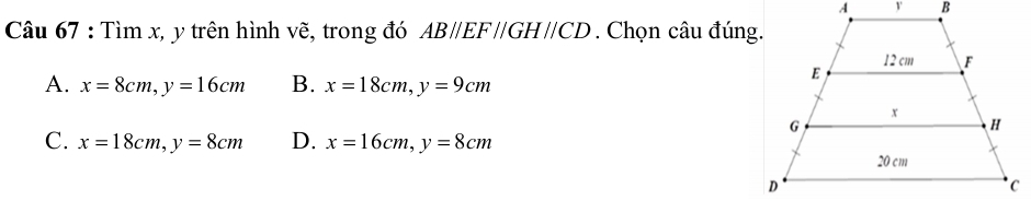 Tìm x, y trên hình vẽ, trong đó AB//EF//GH//CD. Chọn câu đúng.
A. x=8cm, y=16cm B. x=18cm, y=9cm
C. x=18cm, y=8cm D. x=16cm, y=8cm