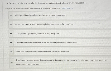 Put the events of olfactory transduction in order, beginning with activation of an olfactory receptor.
Drag and drop options imo correct order and submit. For keyboard navigation. SHOW MORE w
cAMP-gated ion channels in the olfactory sensory neuron open.
An ederant binds to a G-protein coupled receptor on an olfactory cilium.
The G protein, gustducin, activates acenylate cyclase.
The intracellular levels of cAMP within the olfactory sensory neuron increase.
Mitral cells relay the information to the brain via the olfactory tract
The offactory sensory neuron depolarizes and action potentials are carried to the offactory nerve libers where they
synapse with the mitral cells.