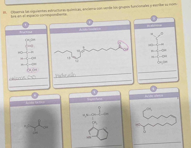 Observa las siguientes estructuras químicas, encierra con verde los grupos funcionales y escribe su nom-
bre en el espacio correspondiente.
3
1
FructosaArabinosa
H
beginarrayr CH_2OH C=Oendarray
C
HO-C-H
HO-C-H
H-C-OH
H-C-OH
H-C-OH
H-C-OH
CH_2OH
_
CH_2OH
_
_
_
_
_
6
5
4
Ácido láctico Triptófano Ácido oleico
。
H_2N -OH
。
CH_2
H_3C OH
OH
HN
_