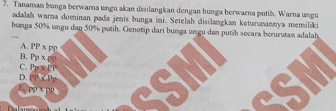 Tanaman bunga berwarna ungu akan disilangkan dengan bunga berwarna putih. Warna ungu
adalah warna dominan pada jenis bunga ini. Setelah disilangkan keturunannya memiliki
bunga 50% ungu dan 50% putih. Genotip dari bunga ungu dan putih secara berurutan adalah
..
A. PP* PP
B. Pp* pp
C. Pp* PP
D. PP* PP
E. PP* PP
Dalam