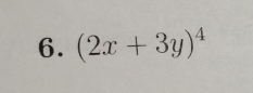 (2x+3y)^4