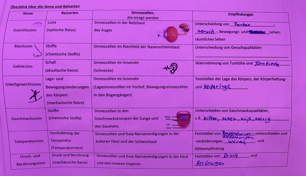 Überblick über die Sinne und Reizarten 
Gl