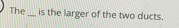 The _is the larger of the two ducts.