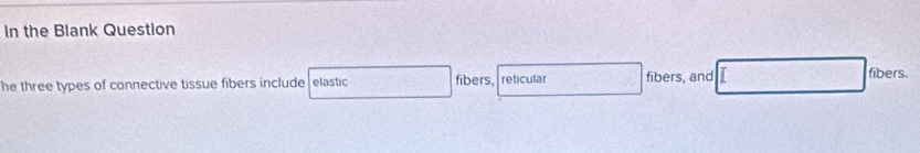 In the Blank Question 
he three types of connective tissue fibers include elastic fibers, reticular fibers, and fibers.