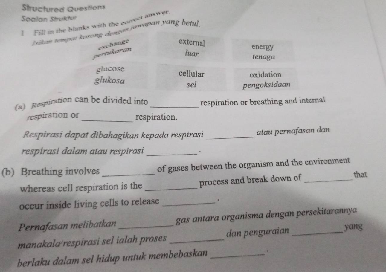 Structured Questions
Soalan Struktur
1 Fill in the blanks with the correct answer
Isikan tempat kosong dengan jawapan yang betul.
exchange
external
pertukaran
energy
luar
tenaga
glucose cellular
oxidation
glukosa
sel pengoksidaan
(a) Respiration can be divided into _respiration or breathing and internal
respiration or _respiration.
Respirasi dapat dibahagikan kepada respirasi_
atau pernafasan dan
respirasi dalam atau respirasi _.
(b) Breathing involves _of gases between the organism and the environment
whereas cell respiration is the_
process and break down of_
that
occur inside living cells to release_
.
Pernafasan melibatkan_ gas antara organisma dengan persekitarannya
manakala respirasi sel ialah proses _dan penguraian_
yang
berlaku dalam sel hidup untuk membebaskan_