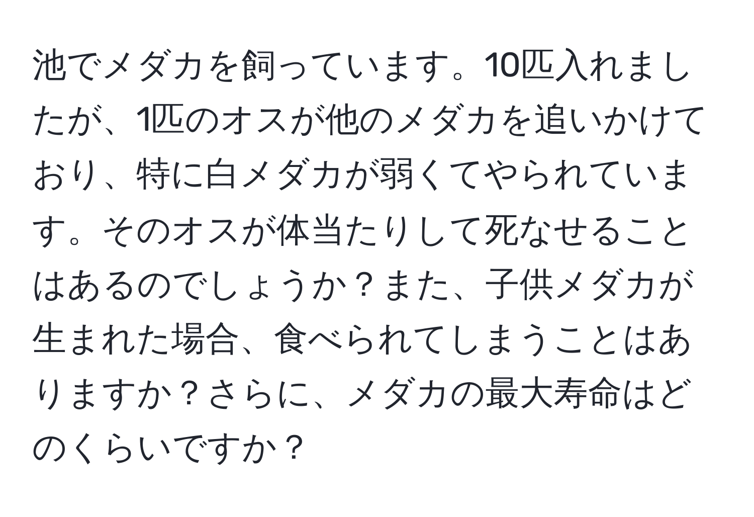 池でメダカを飼っています。10匹入れましたが、1匹のオスが他のメダカを追いかけており、特に白メダカが弱くてやられています。そのオスが体当たりして死なせることはあるのでしょうか？また、子供メダカが生まれた場合、食べられてしまうことはありますか？さらに、メダカの最大寿命はどのくらいですか？