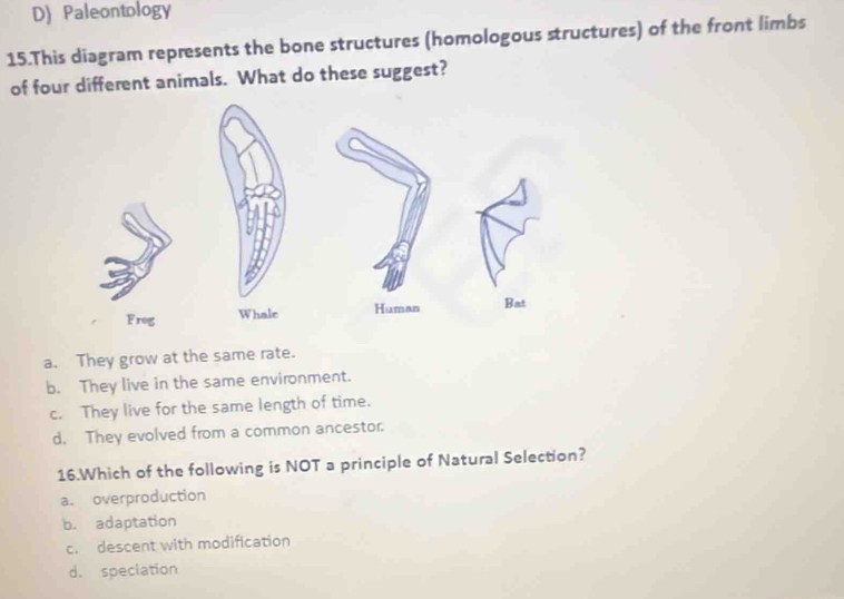 D) Paleontology
15.This diagram represents the bone structures (homologous structures) of the front limbs
of four different animals. What do these suggest?
a. They grow at the same rate.
b. They live in the same environment.
c. They live for the same length of time.
d. They evolved from a common ancestor.
16.Which of the following is NOT a principle of Natural Selection?
a. overproduction
b. adaptation
c. descent with modification
d. speciation