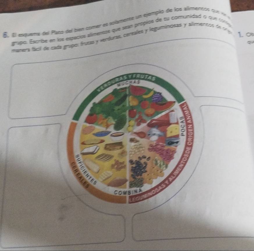 É El esquera del Plano del bien comer es solamene un ejemplo de los alímencos qu r 
grapo. Excrbe en los espacos alimentas que sean propios de ts comunidad o que c 
1∞ 
manera fáci de cada grupo: frutas y verduras, cereales y leguminosas y alimentos de o