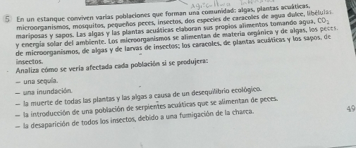 En un estanque conviven varias poblaciones que forman una comunidad: algas, plantas acuáticas.
microorganismos, mosquitos, pequeños peces, insectos, dos especies de caracoles de agua dulce, libélulas
mariposas y sapos. Las algas y las plantas acuáticas elaboran sus propios alimentos tomando agua, CO_2 
y energía solar del ambiente. Los microorganismos se alimentan de matería orgánica y de algas, los peces.
de microorganismos, de algas y de larvas de insectos; los caracoles, de plantas acuáticas y los sapos, de
insectos.
Analiza cómo se vería afectada cada población si se produjera:
— una sequía.
— una inundación.
— la muerte de todas las plantas y las algas a causa de un desequilibrio ecológico.
la introducción de una población de serpientes acuáticas que se alimentan de peces.
— la desaparición de todos los insectos, debido a una fumigación de la charça.
49