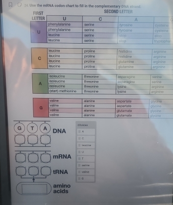 Solved: Use the mRNA codon chart to fill in the complementary DNA ...
