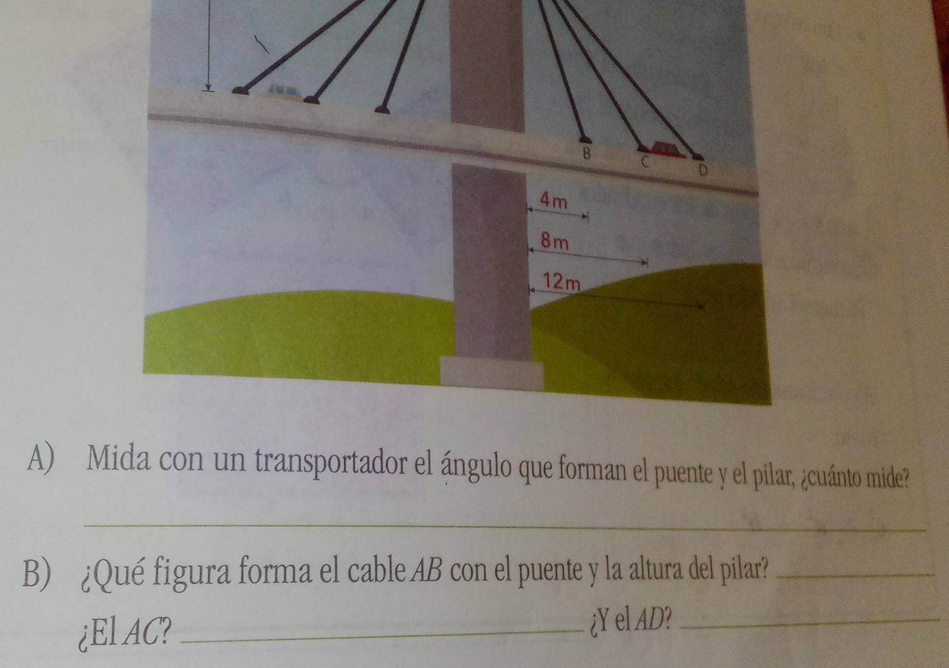 8m
12m
A) Mida con un transportador el ángulo que forman el puente y el pilar, ¿cuánto mide? 
_ 
B) ¿Qué figura forma el cable AB con el puente y la altura del pilar?_ 
¿El AC?_ 
¿Y el AD?_