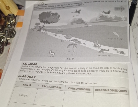 trófica del ecosistema. Prímero selecciona la presa y luego el 
L MANGLAR 
r ROJO 
5 
AR 
Indicar a los estudiantes que primero hay que colocar la imagen en el cuadro con el nombre que 
e pertenece y después para identificar quién es la presa debe colocar el inicio de la flecha en el 
ser vivo y con la punta de la fiecha indicará quién es el depredador. 
ELABORAR 
Completa el s