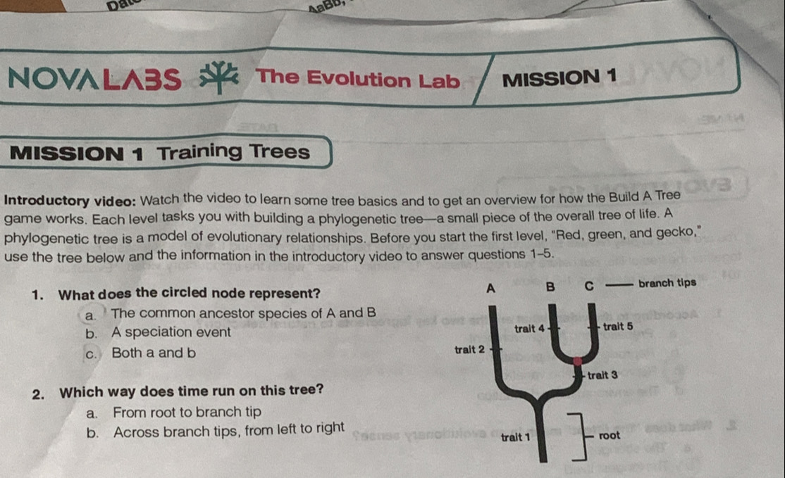 NOVALA3S The Evolution Lab MISSION 1
MISSION 1 Training Trees
Introductory video: Watch the video to learn some tree basics and to get an overview for how the Build A Tree
game works. Each level tasks you with building a phylogenetic tree—a small piece of the overall tree of life. A
phylogenetic tree is a model of evolutionary relationships. Before you start the first level, "Red, green, and gecko,"
use the tree below and the information in the introductory video to answer questions 1-5.
1. What does the circled node represent?
a. The common ancestor species of A and B
b. A speciation event
c. Both a and b 
2. Which way does time run on this tree?
a. From root to branch tip
b. Across branch tips, from left to right