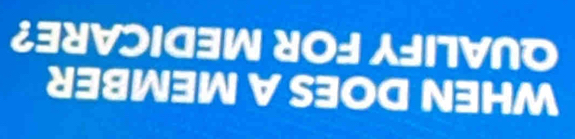 ¿3५∀ɔΙ3W ४०: AΙ∀Nつ
838W3W V S30G N3HM