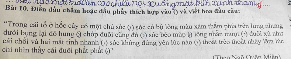 Điền dấu chấm hoặc dầu phầy thích hợp vào () và viết hoa đầu câu:
“Trong cái tổ ở hốc cây có một chú sóc () sóc có bộ lông màu xám thắm phía trên lưng nhưng
dưới bụng lại đỏ hung () chóp đuôi cũng đỏ () sóc béo múp () lông nhẵn mượt () đuôi xù như
cái chỗi và hai mắt tinh nhanh () sóc không đứng yên lúc nào () thoắt trèo thoắt nhảy lắm lúc
chỉ nhìn thấy cái đuôi phất phất ()''
(Theo Ngô Quân Miên)