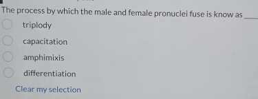 The process by which the male and female pronuclei fuse is know as_
triplody
capacitation
amphimixis
differentiation
Clear my selection