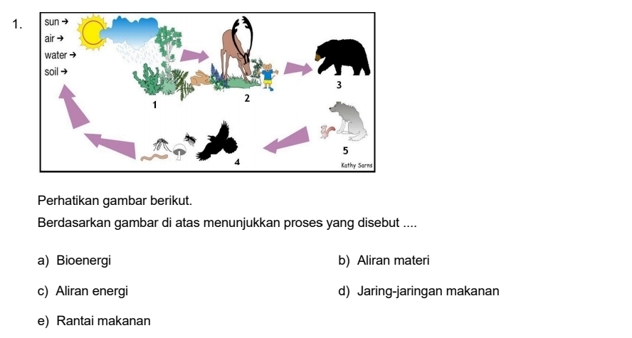 Perhatikan gambar berikut.
Berdasarkan gambar di atas menunjukkan proses yang disebut ....
a) Bioenergi b) Aliran materi
c) Aliran energi d) Jaring-jaringan makanan
e) Rantai makanan