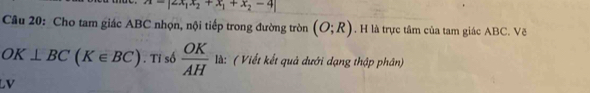 A=|2x_1x_2+x_1+x_2-4|
Câu 20: Cho tam giác ABC nhọn, nội tiếp trong đường tròn (O;R). H là trực tâm của tam giác ABC. Vẽ
OK⊥ BC(K∈ BC). Tỉ số  OK/AH  là: ( Viết kết quả dưới dạng thập phân) 
LV