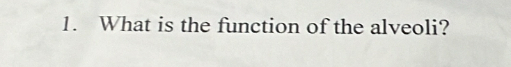 What is the function of the alveoli?