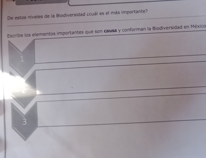 De estos niveles de la Biodiversidad ¿cuál es el más importante? 
Escribe los elementos importantes que son causa y conforman la Biodiversidad en México
1
3