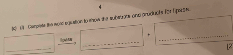 4 
(c) (1) Complete the word equation to show the substrate and products for lipase. 
+ 
lipase_ 
_ 
_ 
[2