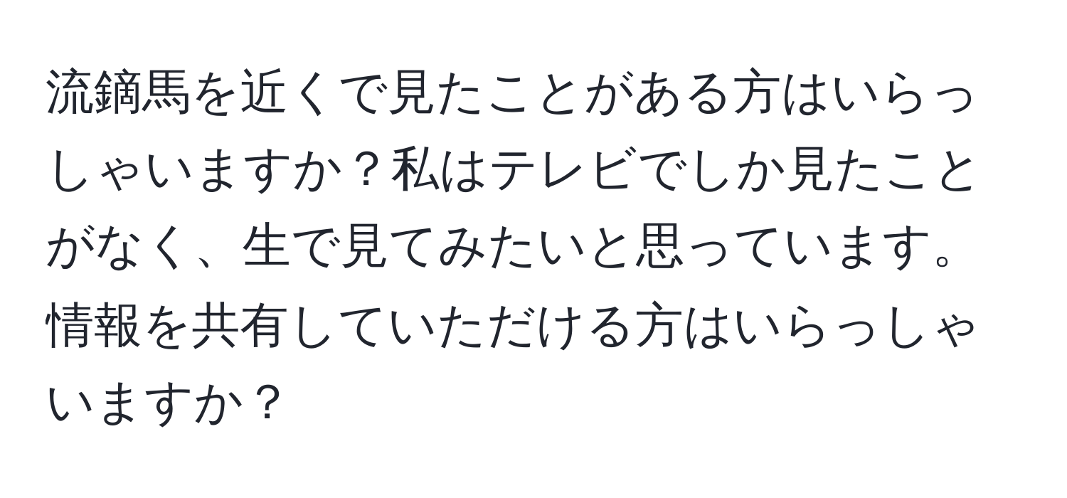 流鏑馬を近くで見たことがある方はいらっしゃいますか？私はテレビでしか見たことがなく、生で見てみたいと思っています。情報を共有していただける方はいらっしゃいますか？