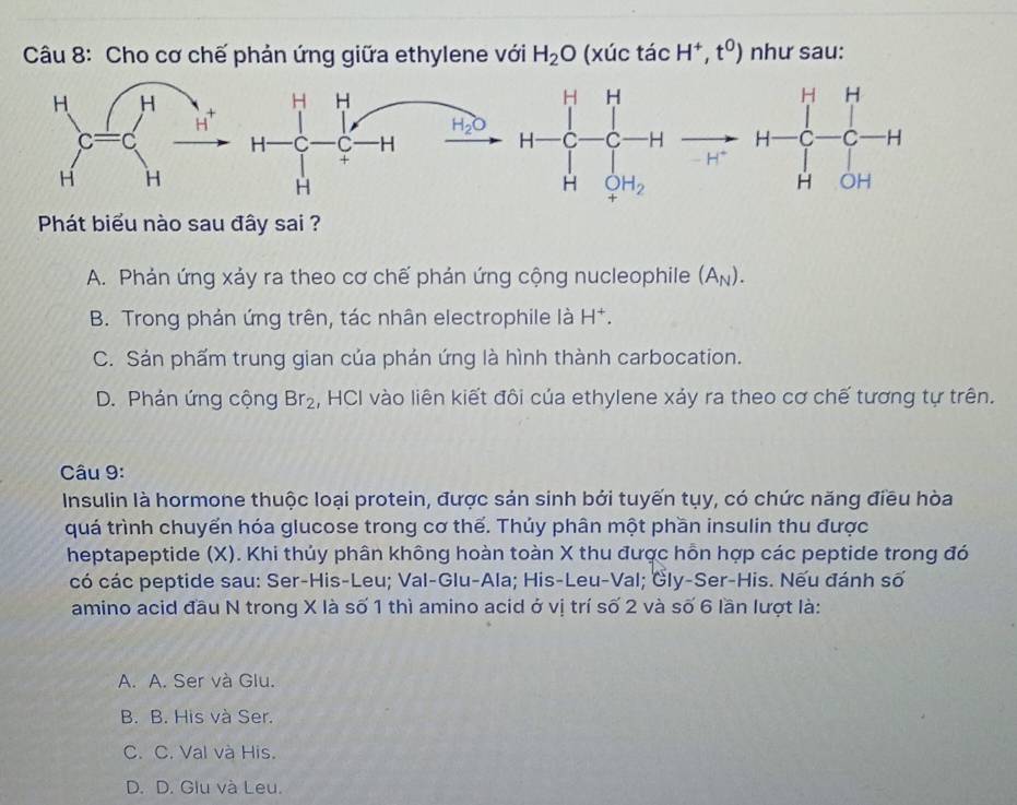 Cho cơ chế phản ứng giữa ethylene với H_2O (xúc tdot ac H^+,t^0) như sau:
H-beginarrayl H&H - Hto  HCH_2endarray. to Hto H-beginarrayr H- H
Phát biểu nào sau đây sai ?
A. Phản ứng xảy ra theo cơ chế phản ứng cộng nucleophile (A_N).
B. Trong phản ứng trên, tác nhân electrophile là H^+.
C. Sản phẩm trung gian của phản ứng là hình thành carbocation.
D. Phản ứng cộng Br_2 , HCI vào liên kiết đôi của ethylene xảy ra theo cơ chế tương tự trên.
Câu 9:
Insulin là hormone thuộc loại protein, được sản sinh bởi tuyến tụy, có chức năng điều hòa
quá trình chuyển hóa glucose trong cơ thể. Thúy phân một phần insulin thu được
heptapeptide (X). Khi thủy phân không hoàn toàn X thu được hỗn hợp các peptide trong đó
có các peptide sau: Ser-His-Leu; Val-Glu-Ala; His-Leu-Val; Gly-Ser-His. Nếu đánh số
amino acid đầu N trong X là số 1 thì amino acid ở vị trí số 2 và số 6 lần lượt là:
A. A. Ser và Glu.
B. B. His và Ser.
C. C. Val và His.
D. D. Glu và Leu.