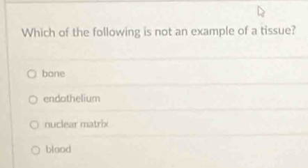 Which of the following is not an example of a tissue?
bone
endothelium
ouclear matrix
blaod