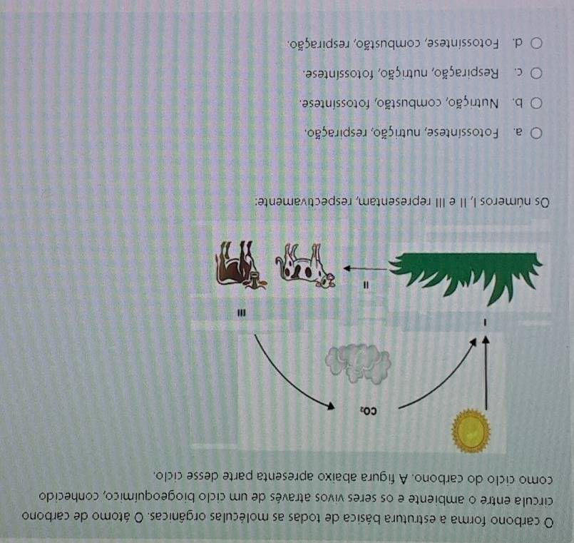 carbono forma a estrutura básica de todas as moléculas orgânicas. O átomo de carbono
circula entre o ambiente e os seres vivos através de um ciclo biogeoquímico, conhecido
como ciclo do carbono. A figura abaixo apresenta parte desse ciclo.
Os números I, II e III representam, respectivamente:
a. Fotossíntese, nutrição, respiração,
b. Nutrição, combustão, fotossíntese.
c. Respiração, nutrição, fotossíntese.
d. Fotossíntese, combustão, respiração.