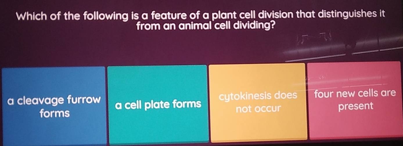 Which of the following is a feature of a plant cell division that distinguishes it
from an animal cell dividing?
a cleavage furrow a cell plate forms
cytokinesis does four new cells are
forms not occur present