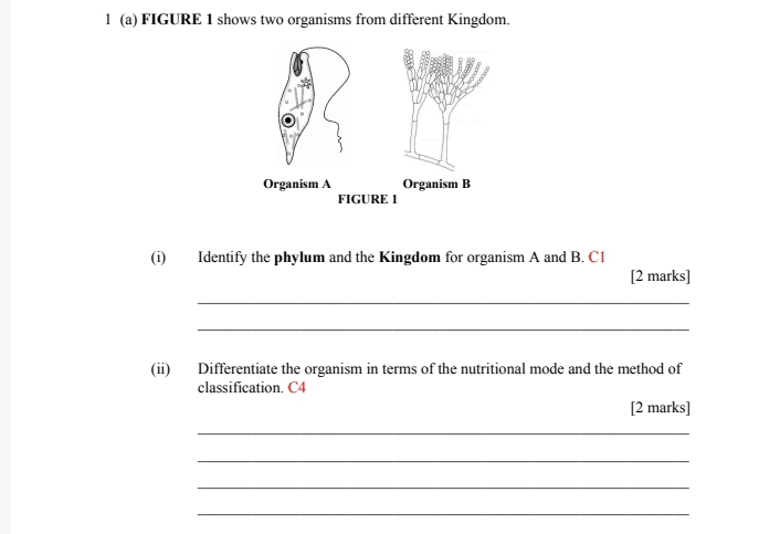 FIGURE 1 shows two organisms from different Kingdom. 
(i) Identify the phylum and the Kingdom for organism A and B. C1 
[2 marks] 
_ 
_ 
(ii) Differentiate the organism in terms of the nutritional mode and the method of 
classification. C4
[2 marks] 
_ 
_ 
_ 
_