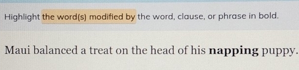 Highlight the word(s) modified by the word, clause, or phrase in bold. 
Maui balanced a treat on the head of his napping puppy.