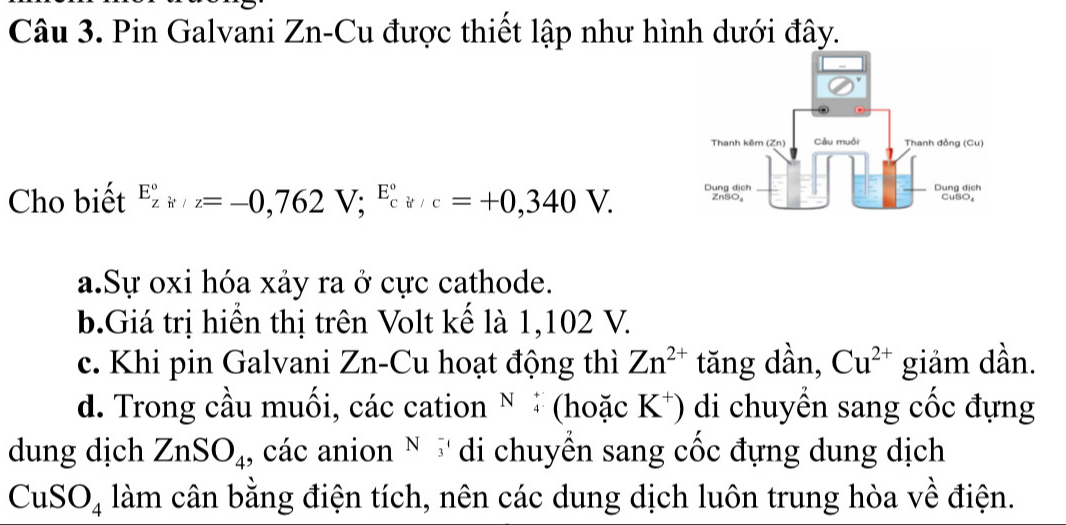 Pin Galvani Zn-Cu được thiết lập như hình dưới đây.
Cho biết E_z^((circ); z=-0,762V; ^E^circ)cir/c=+0,340V.
a.Sự oxi hóa xảy ra ở cực cathode.
b.Giá trị hiển thị trên Volt kế là 1,102 V.
c. Khi pin Galvani Zn-Cu hoạt động thì Zn^(2+) tăng dần, Cu^(2+) giảm dần.
d. Trong cầu muối, các cation N # (hoặc K*) di chuyển sang cốc đựng
dung dịch ZnSO_4 1, các anion N '' di chuyển sang cốc đựng dung dịch
CuSO_4 làm cân bằng điện tích, nên các dung dịch luôn trung hòa về điện.