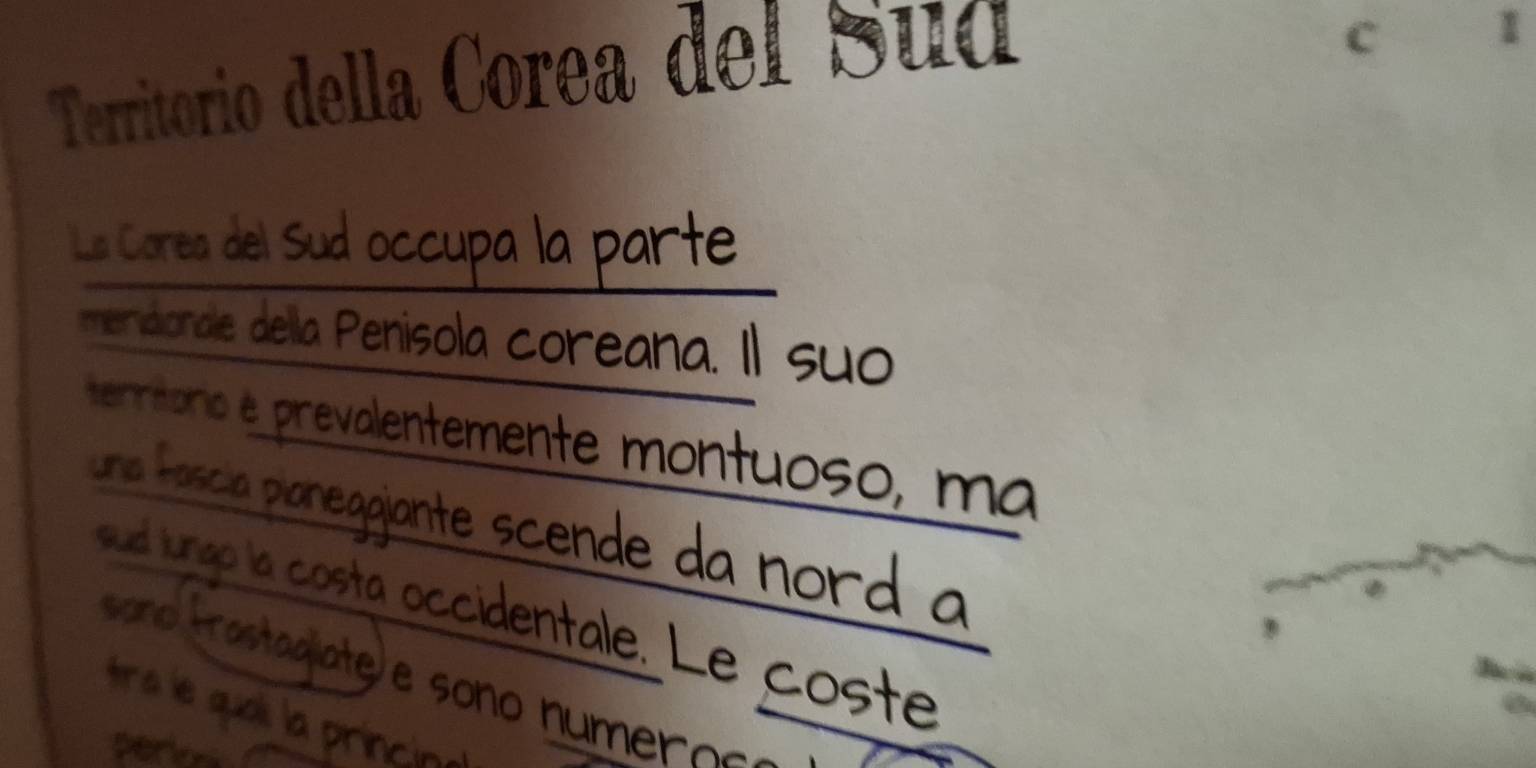 Territorio della Corea del Sud 
C 1 
La Corea del Sud occupa la parte 
menidionale della Penisola coreana. Il suo 
terrtório é prevalentemente montuoso, ma 
una fascía pioneggiante scende da nord a 
sud ingo la costa occidentale. Le coste 
ao frastagiate e sono numero 
tre le quai, la princin e 
perion