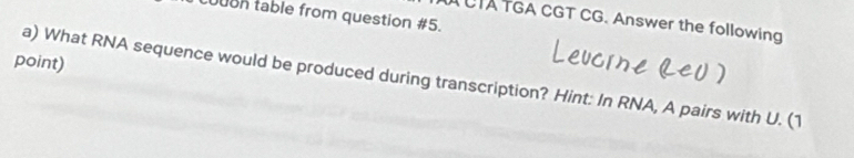 0n table from question #5. 
CTA TGA CGT CG. Answer the following 
point) 
a) What RNA sequence would be produced during transcription? Hint: In RNA, A pairs with U. (1