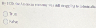 By 1920, the American economy was still struggling to industrializ
True
False