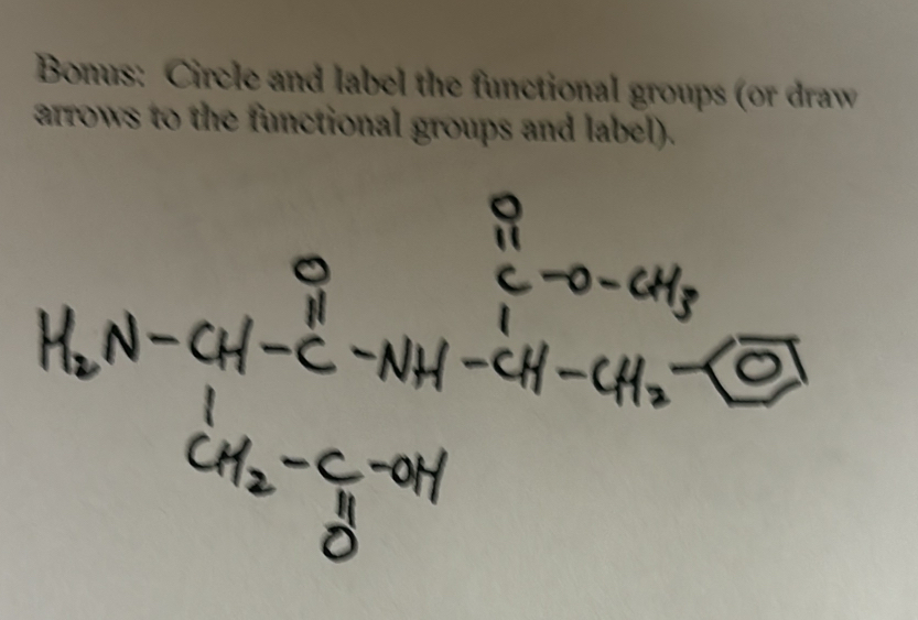 Solved: Bonus: Circle and label the functional groups (or draw arrows ...