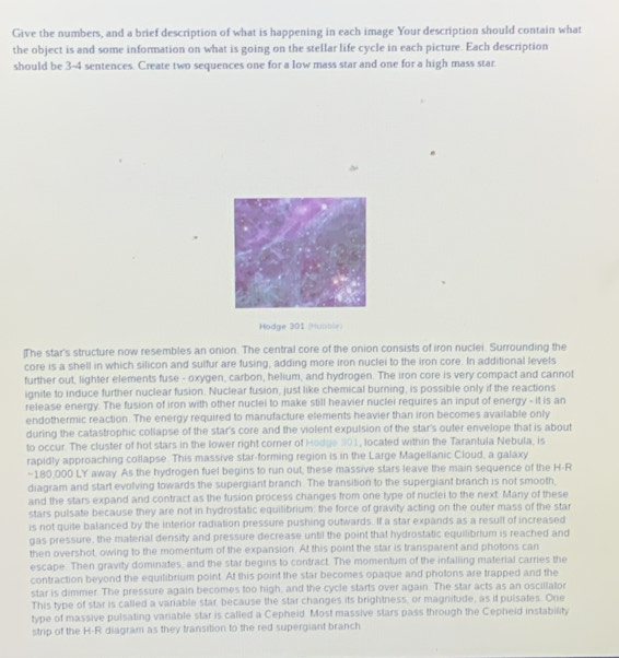 Give the numbers, and a brief description of what is happening in each image Your description should contain what
the object is and some information on what is going on the stellar life cycle in each picture. Each description
should be 3-4 sentences. Create two sequences one for a low mass star and one for a high mass star.
Hodge 301 (Hunole)
The star's structure now resembles an onion. The central core of the onion consists of iron nuclei. Surrounding the
core is a shell in which silicon and sulfur are fusing, adding more iron nuclei to the iron core. In additional levels
further out, lighter elements fuse - oxygen, carbon, helium, and hydrogen. The iron core is very compact and cannot
ignite to induce further nuclear fusion. Nuclear fusion, just like chemical burning, is possible only if the reactions
release energy. The fusion of iron with other nuclei to make still heavier nuclei requires an input of energy - it is an
endothermic reaction. The energy required to manufacture elements heavier than iron becomes available only
during the catastrophic collapse of the star's core and the violent expulsion of the star's outer envelope that is about
to occur. The cluster of hot stars in the lower right corner of Hodge 301, located within the Tarantula Nebula, is
rapidly approaching collapse. This massive star-forming region is in the Large Magellanic Cloud, a galaxy
~180,000 LY away. As the hydrogen fuel begins to run out, these massive stars leave the main sequence of the H-R
diagram and start evolving towards the supergiant branch. The transition to the supergiant branch is not smooth,
and the stars expand and contract as the fusion process changes from one type of nuclei to the next. Many of these
stars pulsate because they are not in hydrostatic equilibrium: the force of gravity acting on the outer mass of the star
is not quite balanced by the interior radiation pressure pushing outwards. If a star expands as a resull of increased
gas pressure, the material density and pressure decrease until the point that hydrostatic equilibrium is reached and
then overshot, owing to the momentum of the expansion. At this point the star is transparent and photons can
escape. Then gravity dominates, and the star begins to contract. The momentum of the infalling material carries the
contraction beyond the equilibrium point. At this point the star becomes opaque and photons are trapped and the
star is dimmer. The pressure again becomes too high, and the cycle starts over again. The star acts as an oscillator
This type of star is called a variable star, because the star changes its brightness, or magnitude, as it pulsates. One
type of massive pulsating variable star is called a Cepheid Most massive stars pass through the Cepheid instability
strip of the H-R diagram as they transition to the red supergiant branch