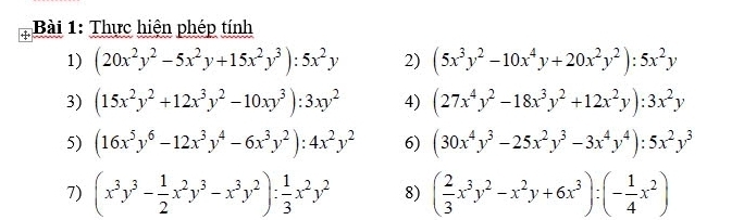 Thực hiện phép tính 
1) (20x^2y^2-5x^2y+15x^2y^3):5x^2y 2) (5x^3y^2-10x^4y+20x^2y^2):5x^2y
3) (15x^2y^2+12x^3y^2-10xy^3):3xy^2 4) (27x^4y^2-18x^3y^2+12x^2y):3x^2y
5) (16x^5y^6-12x^3y^4-6x^3y^2):4x^2y^2 6) (30x^4y^3-25x^2y^3-3x^4y^4):5x^2y^3
7) (x^3y^3- 1/2 x^2y^3-x^3y^2): 1/3 x^2y^2 8) ( 2/3 x^3y^2-x^2y+6x^3):(- 1/4 x^2)