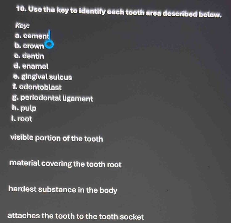 Use the key to identify each tooth area described below. 
Key: 
a. cement 
b. crown 
c. dentin 
d. enamel 
e. gingival sulcus 
f. odontoblast 
g. periodontal ligament 
h. pulp 
i. root 
visible portion of the tooth 
material covering the tooth root 
hardest substance in the body 
attaches the tooth to the tooth socket