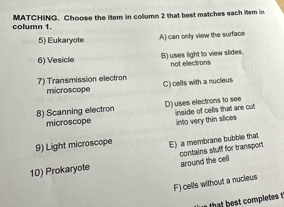 MATCHING. Choose the item in column 2 that best matches each item in
column 1.
5) Eukaryote A) can only view the surface
6) Vesicle B) uses light to view slides,
not electrons
7) Transmission electron
microscope C)cells with a nucleus
8) Scanning electron D) uses electrons to see
inside of cells that are cut
microscope
into very thin slices
9) Light microscope
E) a membrane bubble that
contains stuff for transport
around the cell
10) Prokaryote
F) cells without a nucleus
th om letes t