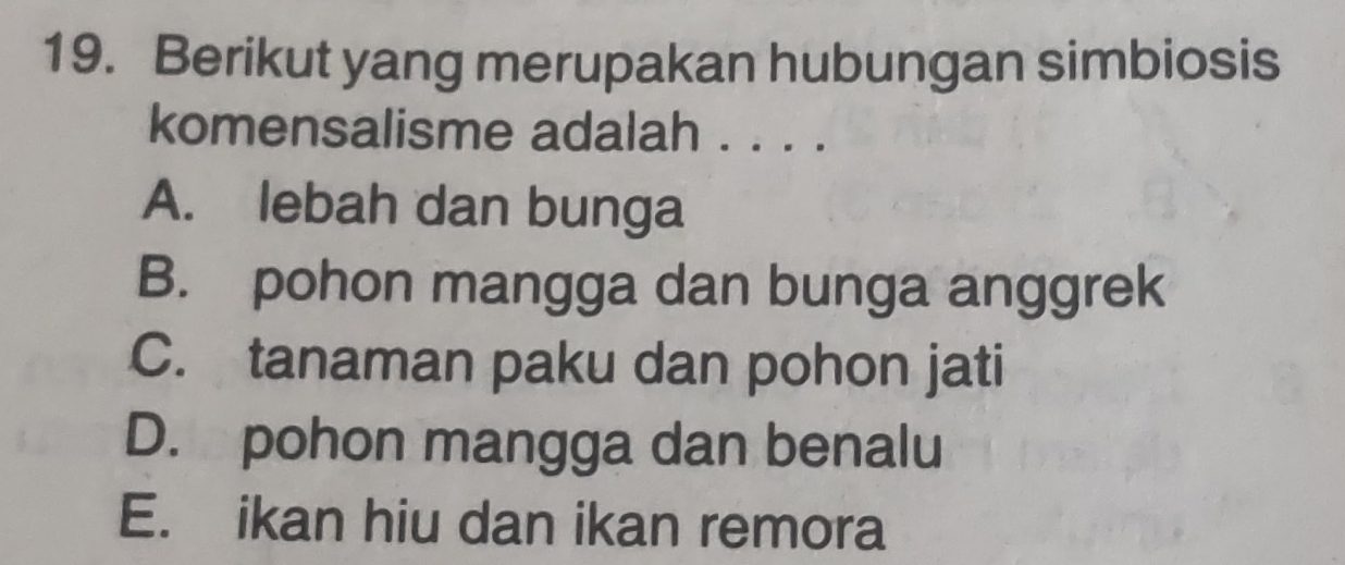 Berikut yang merupakan hubungan simbiosis
komensalisme adalah . . . .
A. lebah dan bunga
B. pohon mangga dan bunga anggrek
C. tanaman paku dan pohon jati
D. pohon mangga dan benalu
E. ikan hiu dan ikan remora