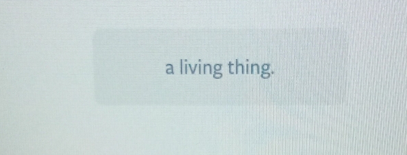 a living thing.