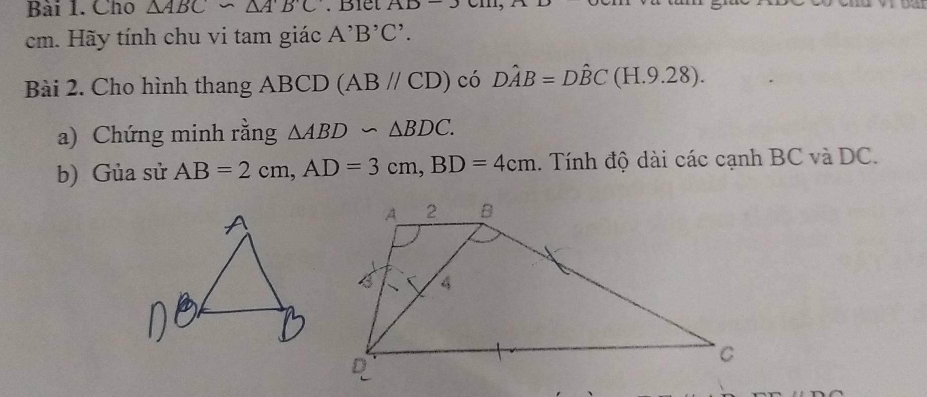 Cho △ ABC∽ △ A'B'C. Biết AB-3
cm. Hãy tính chu vi tam giác A^,B^,C^,. 
Bài 2. Cho hình thang ABCD (AB//CD) có Dhat AB=Dhat BC(H.9.28). 
a) Chứng minh rằng △ ABD∽ △ BDC. 
b) Gủa sử AB=2cm, AD=3cm, BD=4cm. Tính độ dài các cạnh BC và DC.