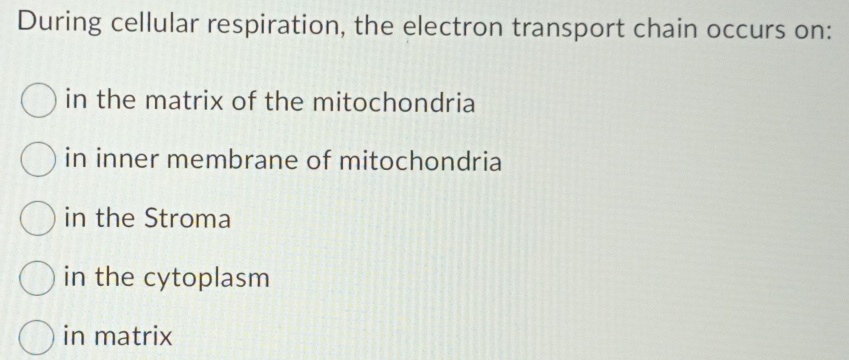 During cellular respiration, the electron transport chain occurs on:
in the matrix of the mitochondria
in inner membrane of mitochondria
in the Stroma
in the cytoplasm
in matrix